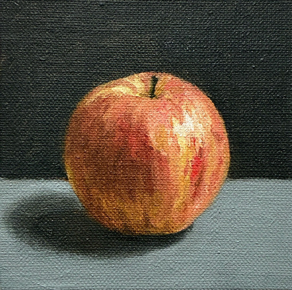 Apple Photograph of a 10 x 10 cm Royal Gala apple painted against a dark background